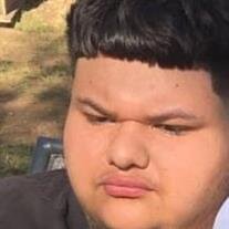 Mr. Eduardo E. Gonzalez