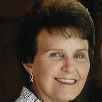 Carol Meiners
