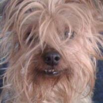 Queequeg Bonner
