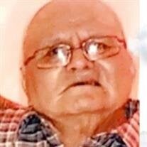 Guadalupe Y. Torres