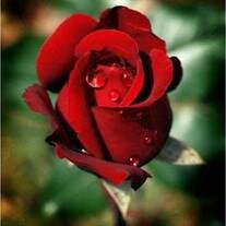 Mr. Chris Eugene Meeks