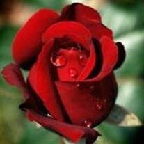 Mr. David Scott Mackey