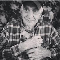 MR. BILLY DOYLE WILLIS