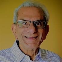 Radha P. Krishna