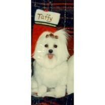 Taffy Powers
