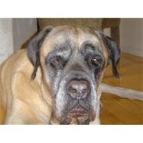 Ronan