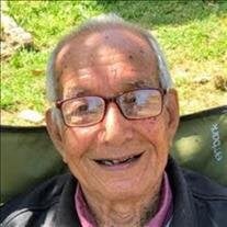 Ines Guevara Valencia