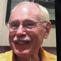 Mr Richard C. Horwitt