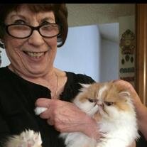 Darlene A. Rose