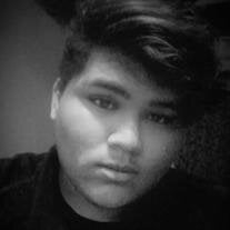 Rene Rodriguez Jr.