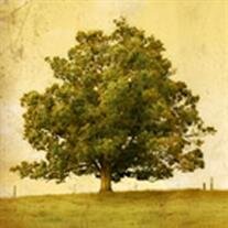Glen W Gillispie