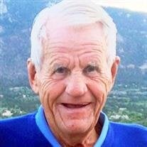 Bruce Warren Halverson