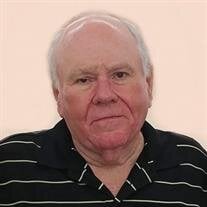 Stephen R Stringer
