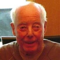 Mr. Duane Blaesing