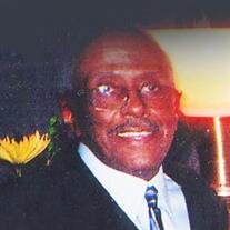 Mr. Morton Davis Jr.