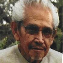 Louis Alfonso Maes
