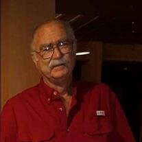 Mr Roy Corvin Metzger
