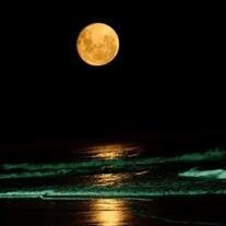 William Herbert Hight