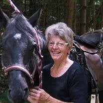 Carol Eileen Nelson