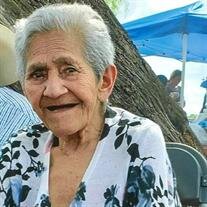 Amalia Zapata