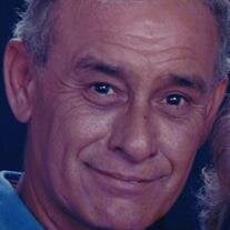 Raul B. Cisneros Jr.