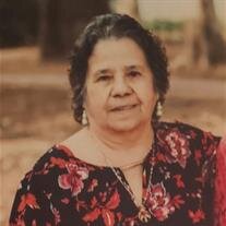 Maria Rebeca Camarena Jimenez