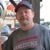 F. Mark Stewart Jr