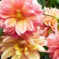 Angelina Uriarte Chavez