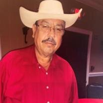 Mr. Guzman Rebollar