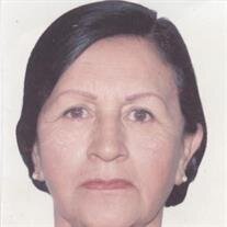 Martha Berzabeth Meza Salas