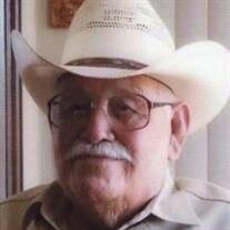 Pedro Flores