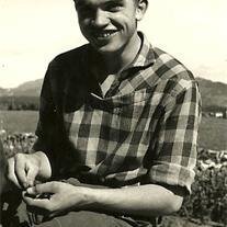 Jostein Dahle