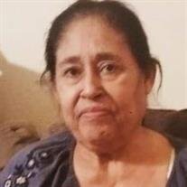 Carrie V. Martinez