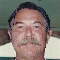 Vernon Nelson Stokes