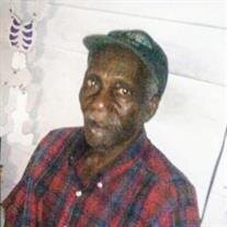 Mr. Moses Leavy Jr.