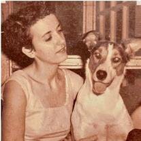 Patricia Ann McGehee