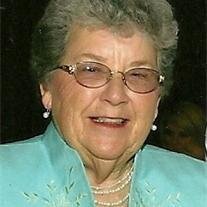 Neta - Fairfield