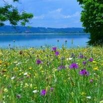 Elizabeth Hamlin Luck