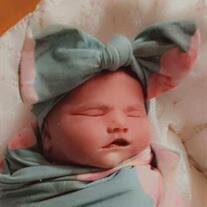 Arabella Sky Stewart