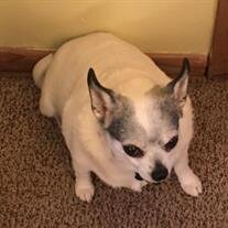 Daisy Mae Butler
