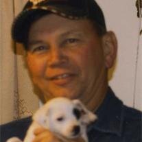 Timmy - Fairfield
