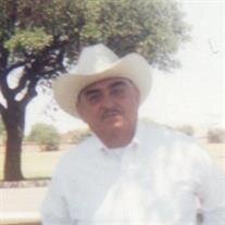 Vicente Delgado Flores