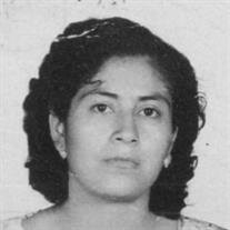 Maria L. Hernandez
