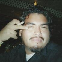Luis A. Flores