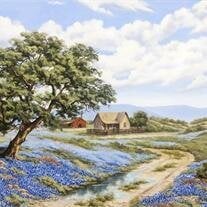 Jo Harrison