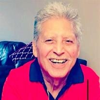 Mr. Enrique Vega
