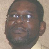 Warren Hollins