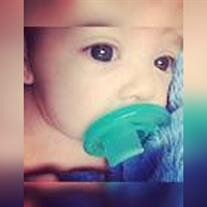 Brylan Michael Lovins
