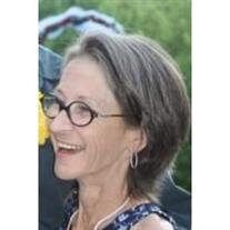 Judy D Hill