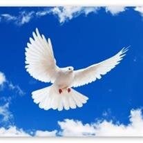 13th Annual Infant Loss Memorial Service
